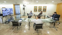 Reunión telemática con los 45 alcaldes de la Región (2)