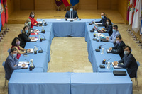 El Consejo de Gobierno se reúne en el Palacio de  San Esteban