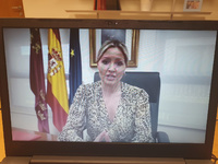 La consejera de Empresa, Industria y Portavocía, Ana Martínez Vidal, durante la videoconferencia del Consejo Asesor de Comercio (2)