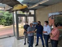 El consejero Antonio Luengo inaugura el módulo expositivo sobre el nido de quebrantahuesos situado en la Sierra de El Valle Carrascoy