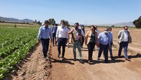 El consejero Antonio Luengo, junto a su homóloga andaluza Carmen Crespo, durante la visita a una explotación agrícola