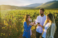 Las excursiones incluyen, entre otras actividades, visitas a bodegas y a campos de viñedos, además de participar en catas comentadas