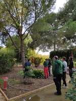 Alumnos del Centro Integrado de Formación y Experiencias Agrarias de Torre Pacheco, durante las prácticas de jardinería y espacios verdes.