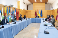 Imagen de la reunión del Consejo de Gobierno