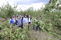 López Miras visita en Pliego una finca agrícola afectada por los episodios de granizo