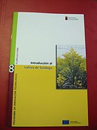Solidago