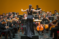 La Orquesta Sinfónica de la Región de Murcia protagonizará el concierto benéfico de celebración del centenario del Colegio de Economistas.