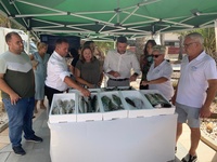 El consejero Antonio Luengo anima a consumir pescado de las costas de la Región de Murcia