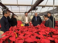 El consejero Antonio Luengo durante su visita a La Pacheca Viveros.