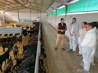 El consejero Antonio Luengo, durante su visita a la mayor explotación de ganado caprino de España