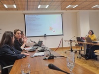 La directora general de Medio Natural, María Cruz Ferreira, durante su intervención en la revisión presencial 'in country' de la Octava Comunicación...
