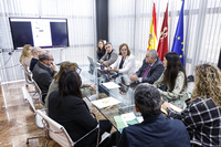 La vicepresidenta y consejera de Transparencia, Participación y Cooperación, Isabel Franco, preside la reunión de la presentación del Plan +60