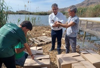 El consejero de Medio Ambiente, Mar Menor, Universidades e Investigación, Juan María Vázquez, durante la presuelta de 20 ejemplares para la reintroducción...