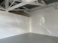 Fotograma de la instalación audiovisual `Miya Sama Miya Sama´, de la artista Mar Reykjavik.
