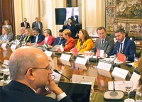 El consejero Antonio Luengo, durante su participación en el Consejo Consultivo de Política Agrícola y Política Pesquera para Asuntos Comunitarios