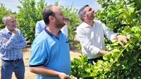 El consejero de Agua, Agricultura, Ganadería y Pesca, Antonio Luengo, en la visita a la zona del campo de Molina de Segura afectada por el granizo y la lluvia torrencial de ayer.