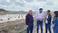 El consejero en funciones Antonio Luengo, durante su visita a los campos de Jumilla afectados por la tormenta de ayer.