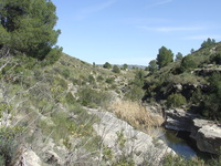 Zona de Especial Conservación (ZEC) Sierras y Vega Alta del Segura y Ríos Alhárabe y Moratalla.
