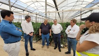 El consejero en funciones de Agricultura destaca que la última tecnología de los invernaderos de pimiento "permite un cultivo eficiente y eficaz"