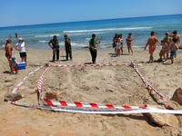 Zona acotada en la Playa de Amoladeras en Cartagena ante las huellas de una especia de tortuga boba, que solo abandona el agua para anidar o tratar...