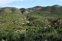 Montes de espartizal en Calasparra.