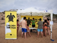Territorio Tortuga