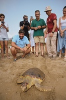 El jefe del Ejecutivo regional en funciones, Fernando López Miras, participa en la liberación de un ejemplar de tortuga boba/1