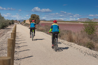 Unas ciclistas recorren la vía verde de la Floración.
