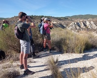 Participantes en una de las rutas celebradas en la pasada edición del Día de las Aves.