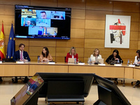 La consejera de Política Social, Familias e Igualdad, Conchita Ruiz, durante su participación en el Consejo Territorial de Servicios Sociales celebrado...