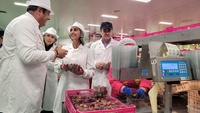 La consejera de Agua, Agricultura, Ganadería y Pesca, Sara Rubira, durante su visita a las instalaciones de la empresa Moyca.