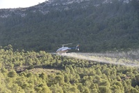 El helicóptero contratado por la Comunidad Autónoma pulveriza una de las zonas más afectadas en la Región el pasado año (El Valle) (1)