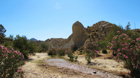 Imágenes de la Zona de Especial Conservación (ZEC) 'Río Chícamo'.