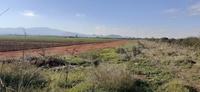 Vía pecuaria de la zona de Torre Pacheco.