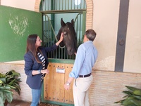 Imagen de la consejera Sara Rubira junto al alcalde de Lorca en las cuadras donde se encuentran los sementales del Centro Militar de cría caballar...