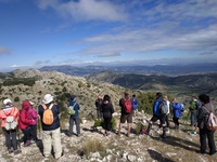 Ruta por Sierra Espuña organizada en la pasada edición.