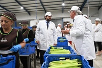 El presidente de la Comunidad, Fernando López Miras, inaugura en Torre-Pacheco las nuevas instalaciones de la empresa Hortofortini (3)