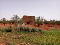 Una vista de la Torre del Moro y su entorno.