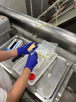 Toma de muestras realizada por el Servicio de Seguridad Alimentaria y Zoonosis de la Consejería de Salud (1)