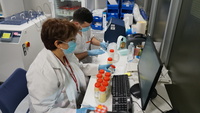 En el banco de leche se procesa, analiza, almacena y distribuye este alimento destinado a los recién nacidos hospitalizados