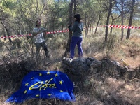 Trabajos del proyecto europeo LIFE Adapt-Aleppo para desarrollar estrategias para adaptar las masas de pino carrasco que se llevan a cabo en la Región...