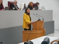 Imagen de la consejera Sara Rubira durante su comparecencia en la Asamblea Regional 