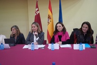 La consejera de Política Social, Familias e Igualdad, Conchita Ruiz, durante su participación en el Consejo Territorial de Servicios Sociales