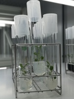 Imagen los tubos de ensayo en uno de los experimentos con especies de plantas aromáticas