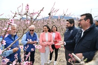 López Miras visita la floración de Cieza (2)
