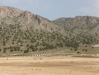 Foto de archivo de agricultura en zona de montaña en Caravaca de la Cruz 