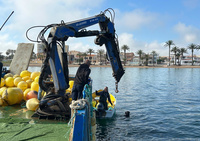 Empleados de la Unión Temporal de Empresas (U.T.E.) contratada por la Comunidad se encargan del balizamiento de las playas en el Mar Menor.