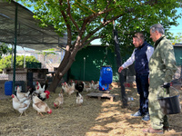 Imagen del director general de Producción Agrícola, Ganadera y Pesquera, Juan Pedro Vera, visitando una granja de autoconsumo