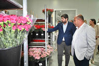El presidente de la Comunidad, Fernando López Miras, inauguró en Cehegín las nuevas instalaciones de Canaraflor (1)