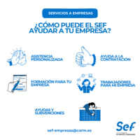 Servicio 'Activo Empresa' del SEF.